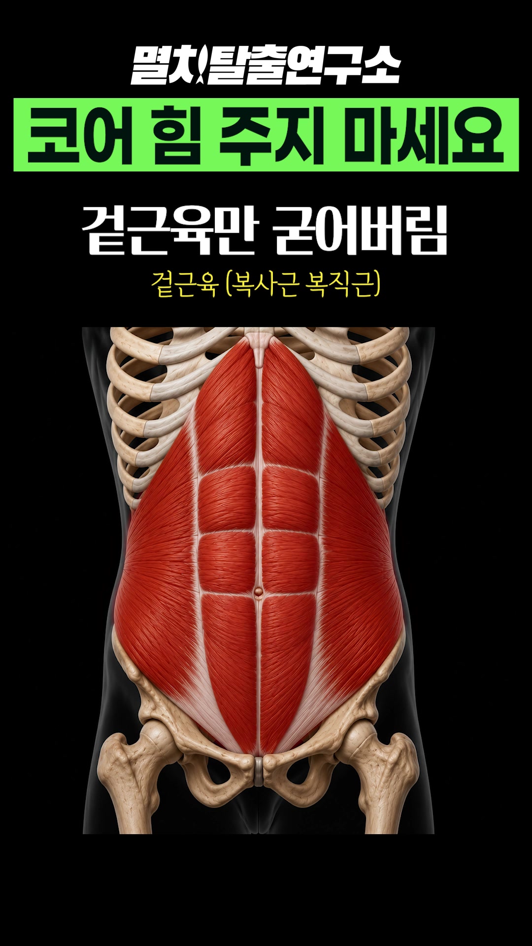 @멸치탈출연구소