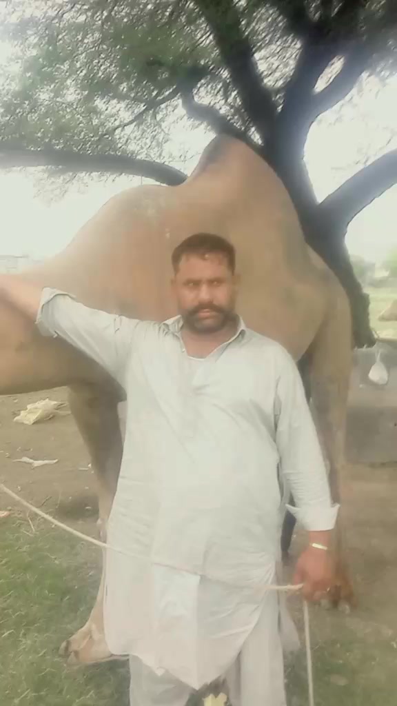 @user57193867321