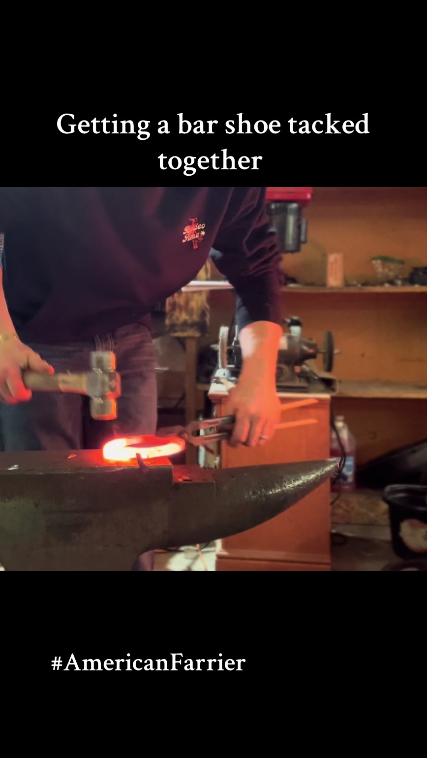 @bar_diamond_farrier