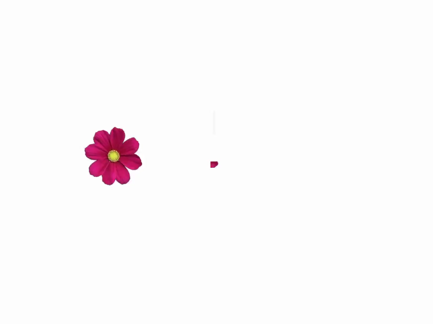 @︎ ︎ ︎ ︎ ︎︎︎︎︎︎︎︎︎︎︎Jed ︎ ︎ ︎ ︎