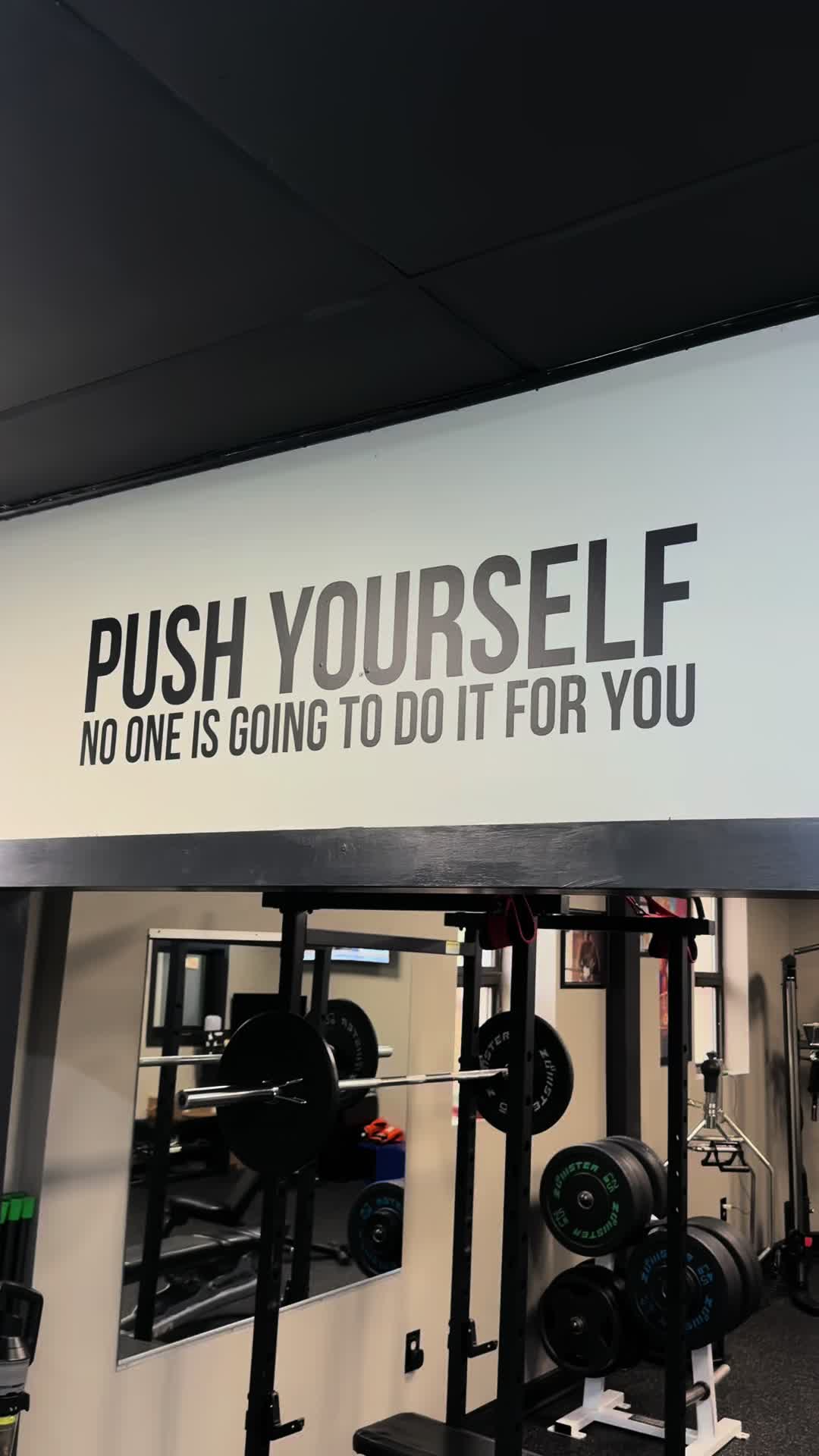 @Freddylive Fitness