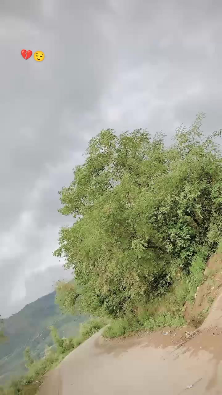 @Sayyed باسیم 🚩