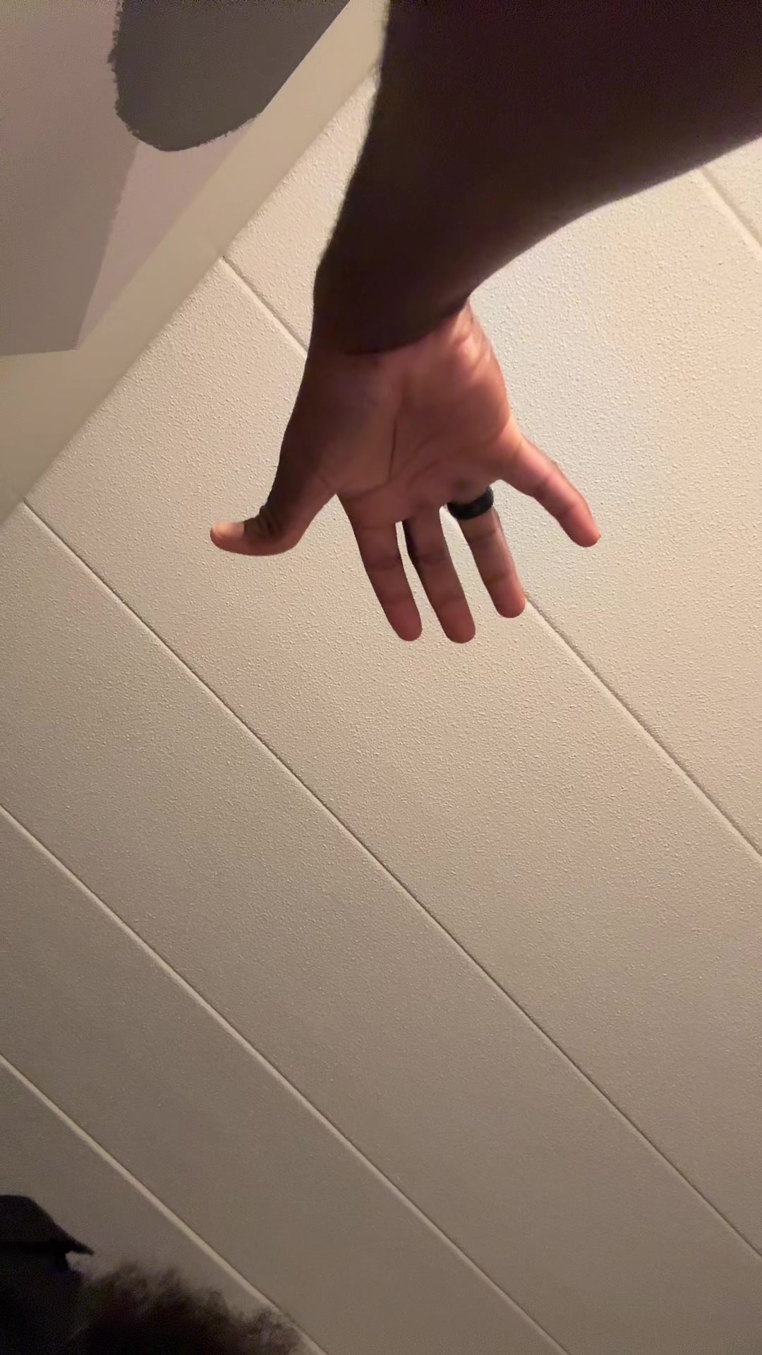 @xocvsisi