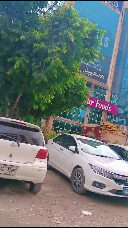 @جنگلی بلی 😺