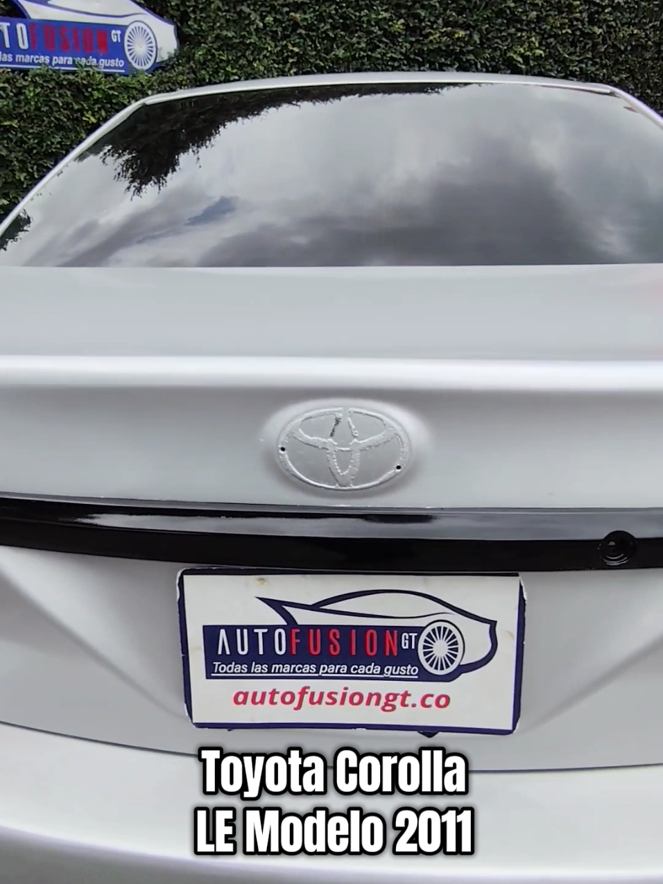 @AutoFusi&oacute;n GT