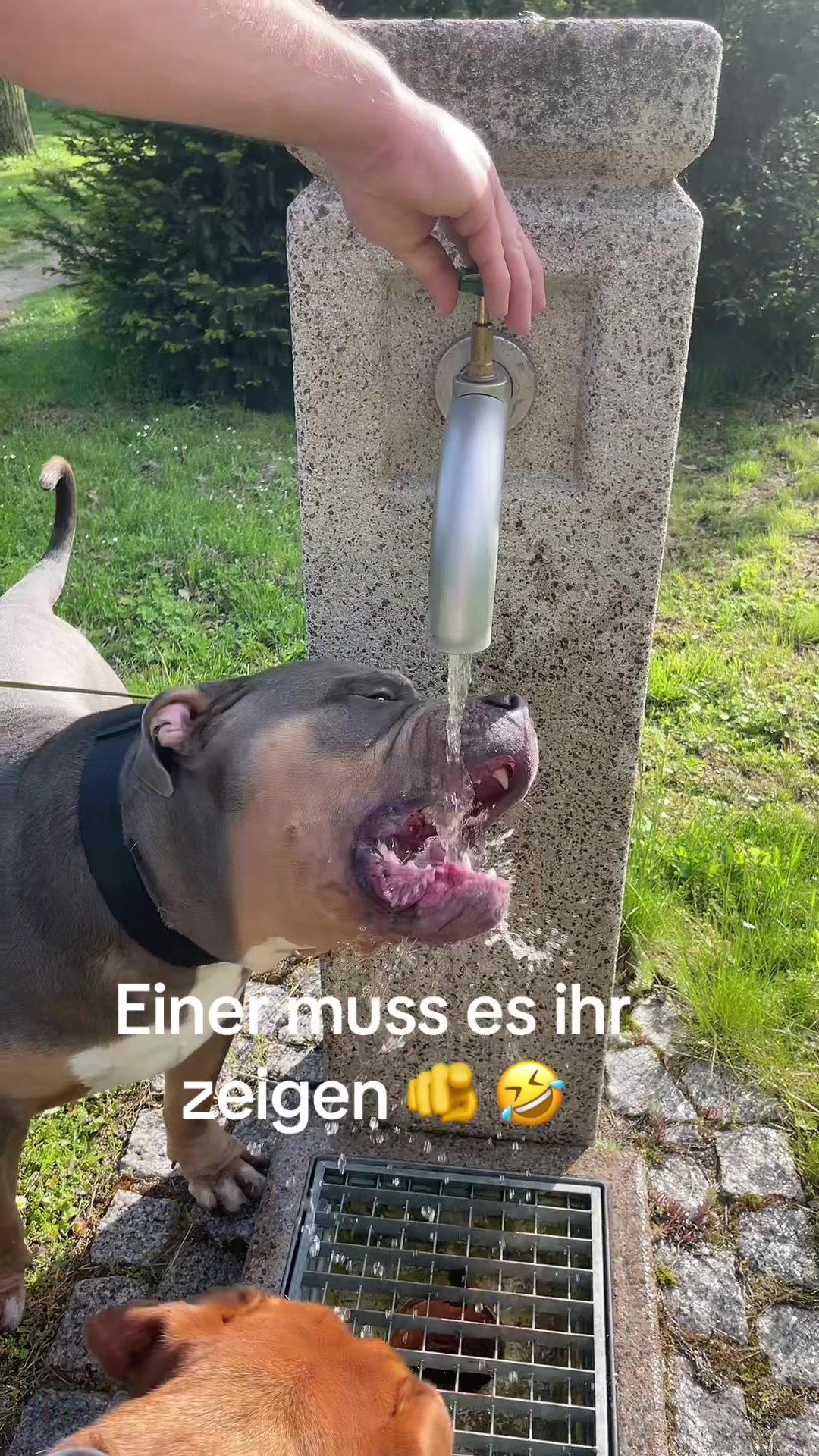@Marleene🐶