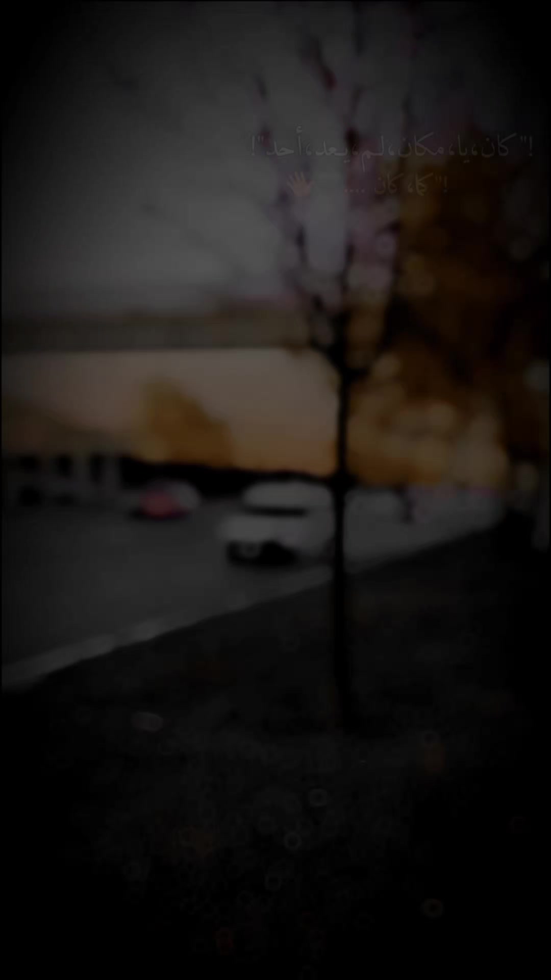 @ابوالروض🖤
