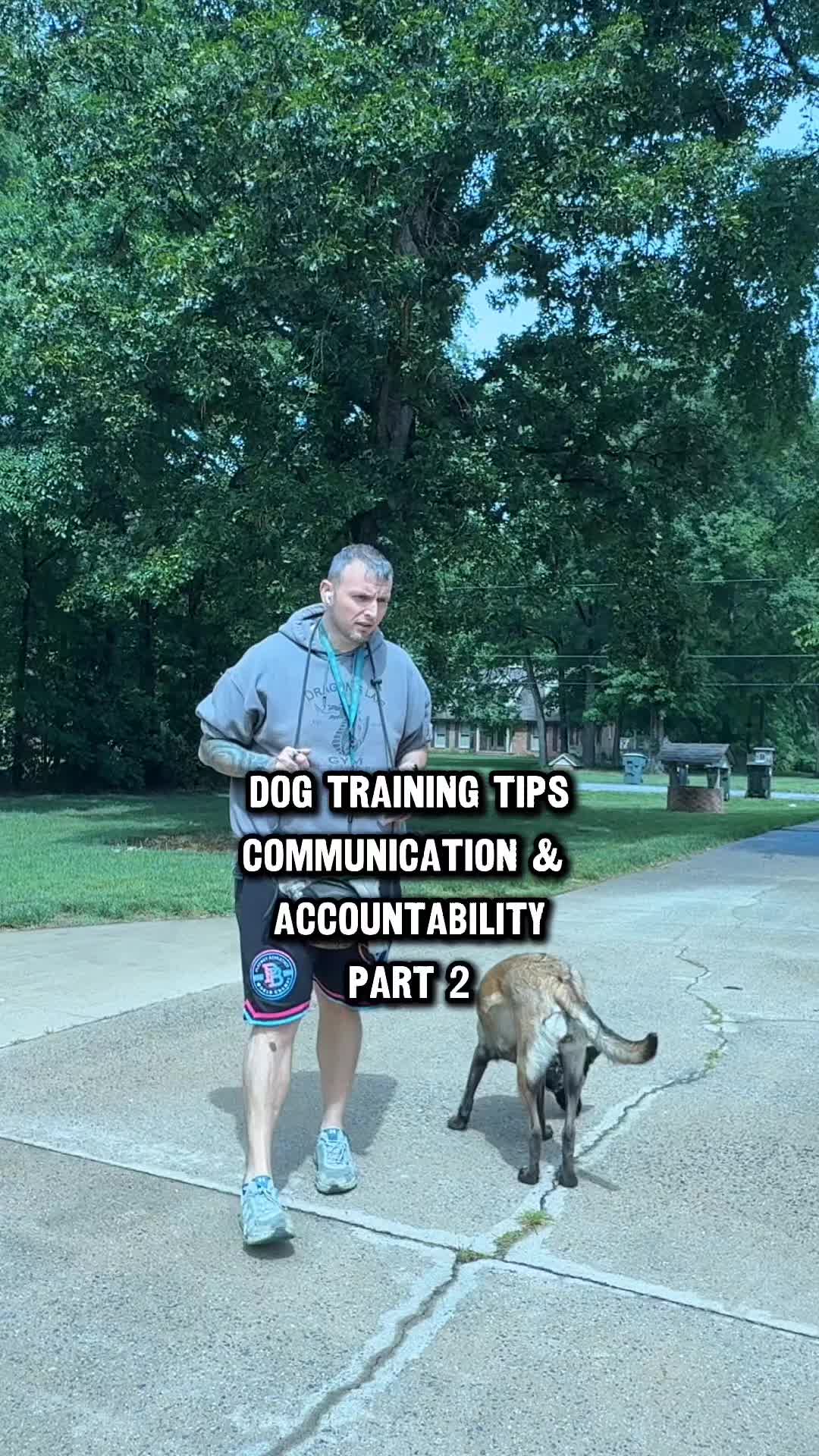 @Lost Boys K9 Academy