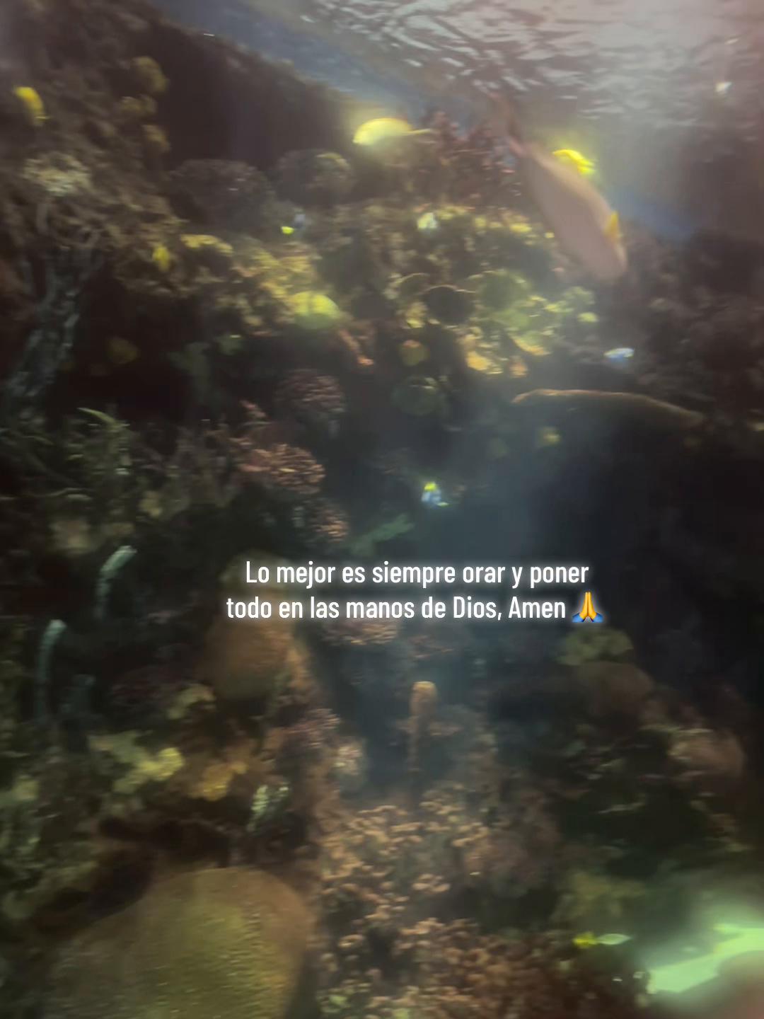@Diana Rojas19