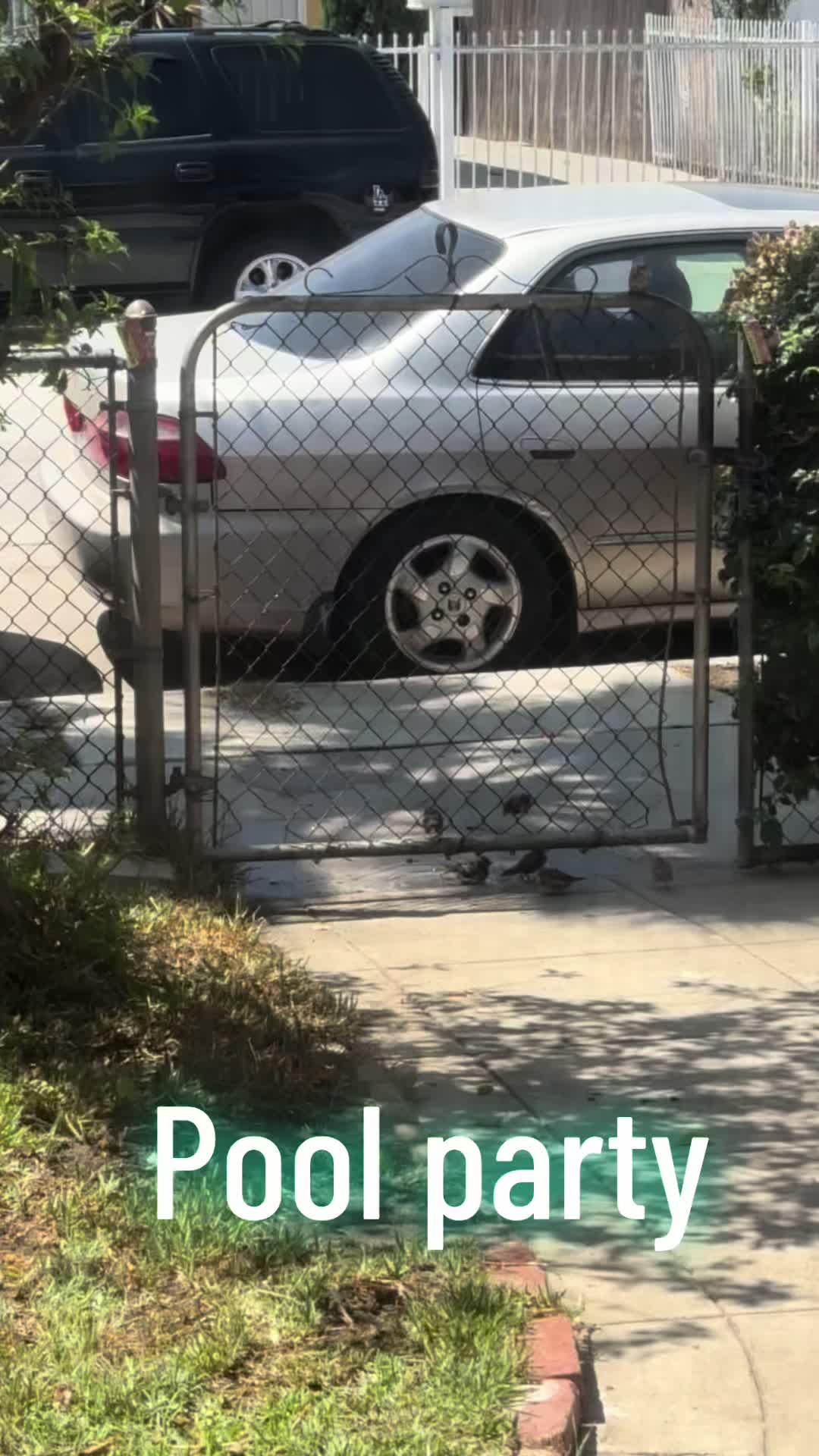 @Gonz&aacute;lez