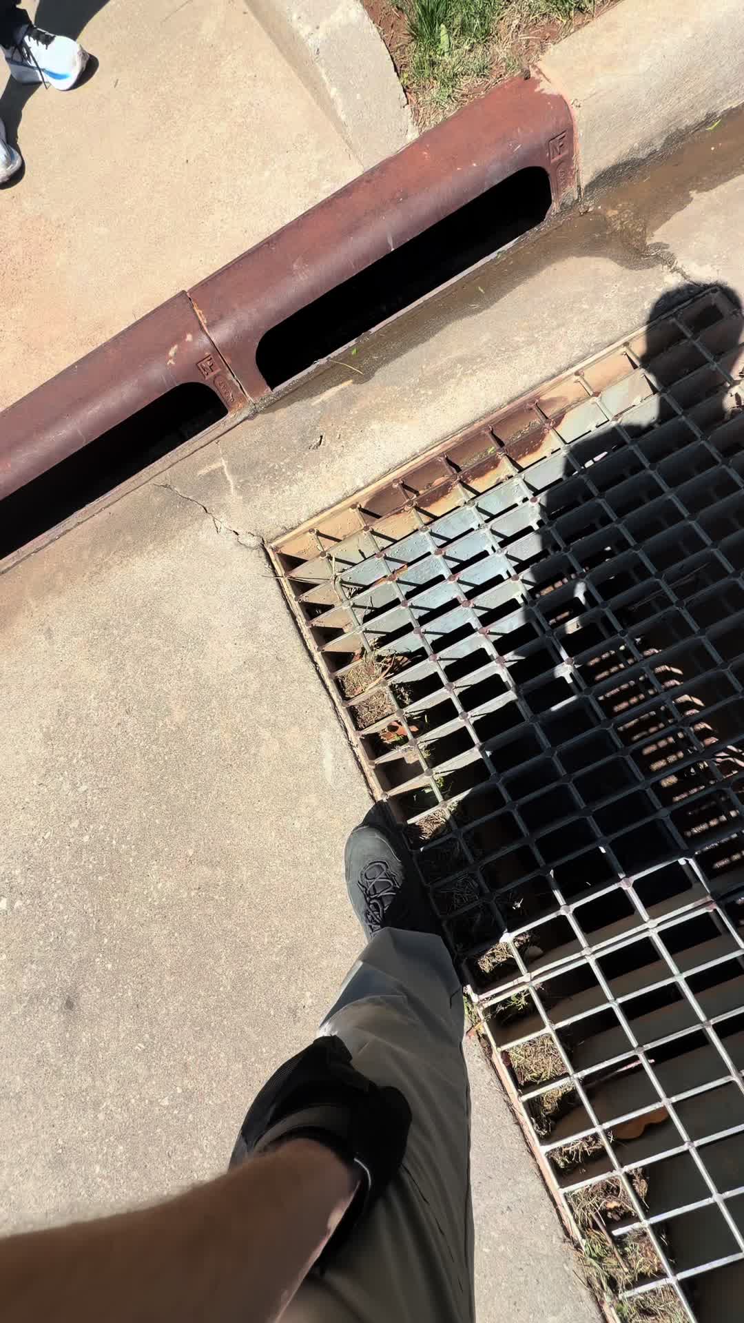 @AnimalWelfareGuy