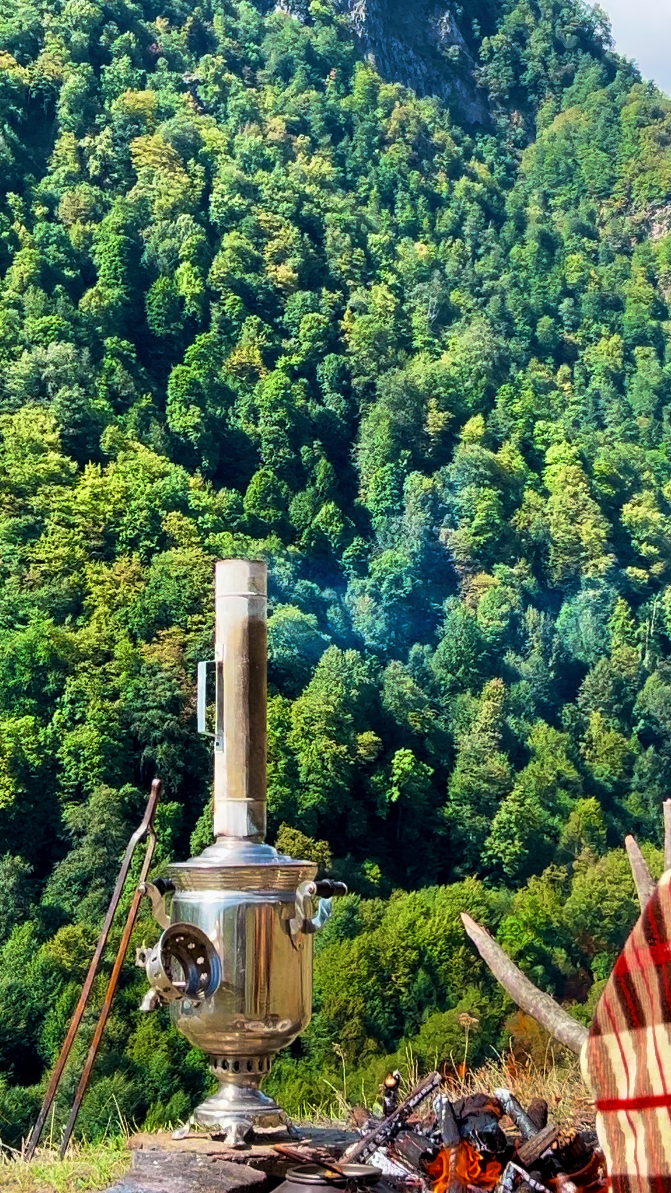 @𝑨𝒅𝒊𝒍𝒐𝒗🌿