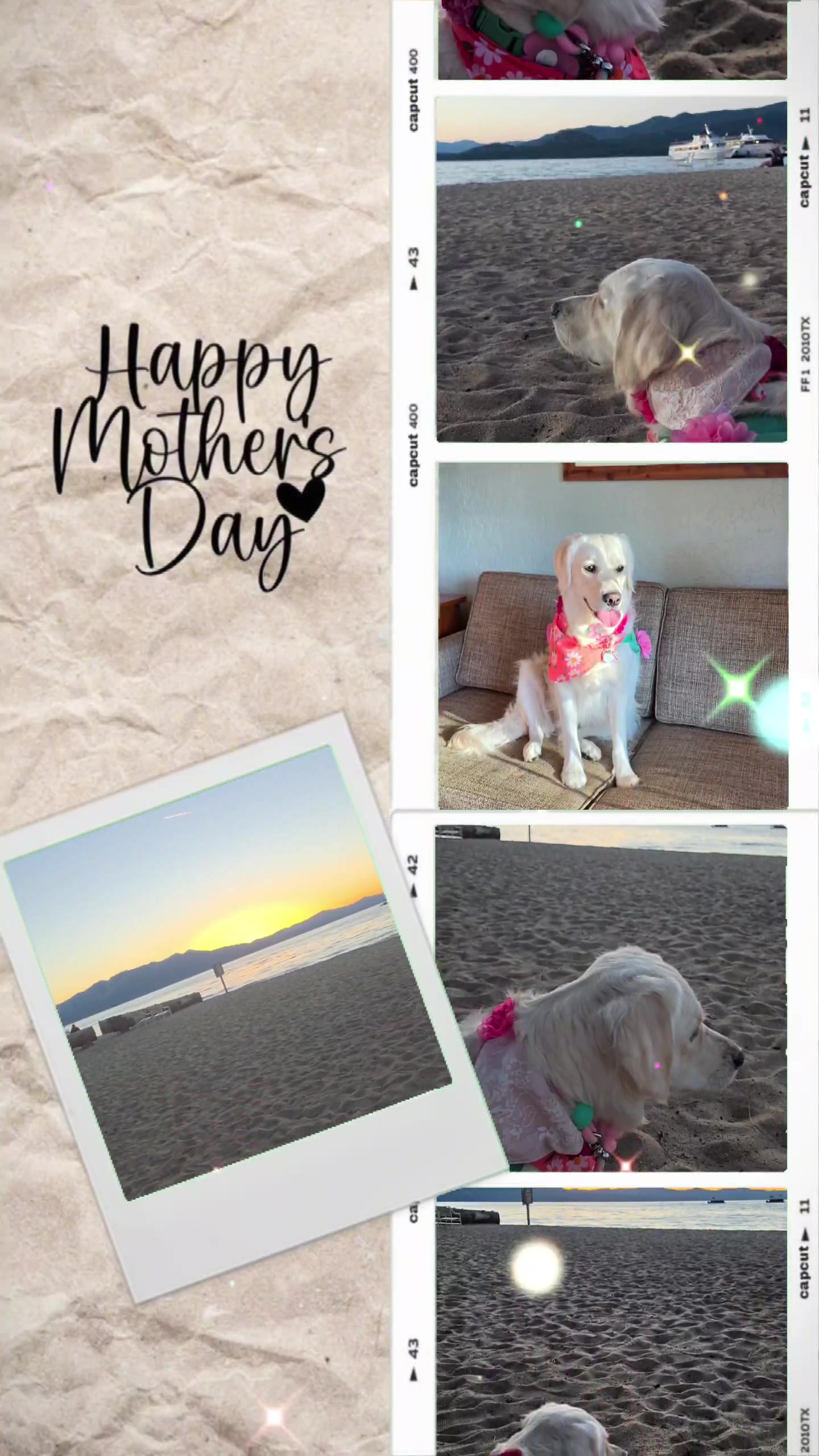 @DoggieMamaFurever&hearts;️🐶