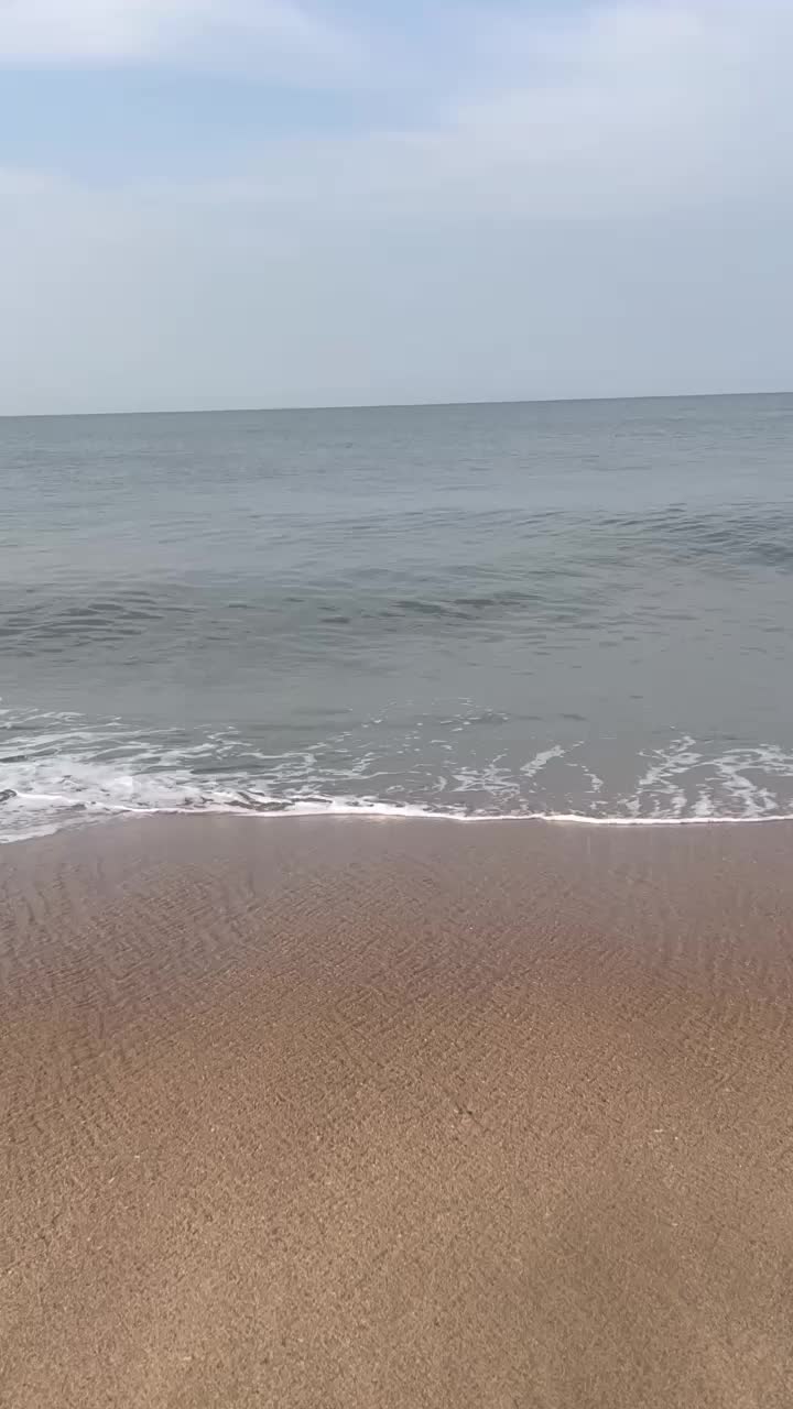 @aaichaa_224