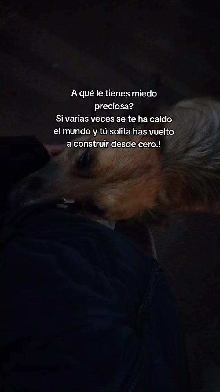 @lunita