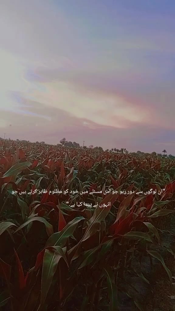 @AWAN ZADI