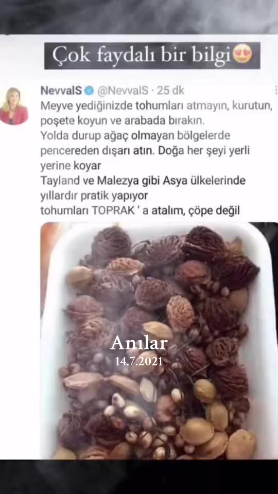 @Roj&hellip;da