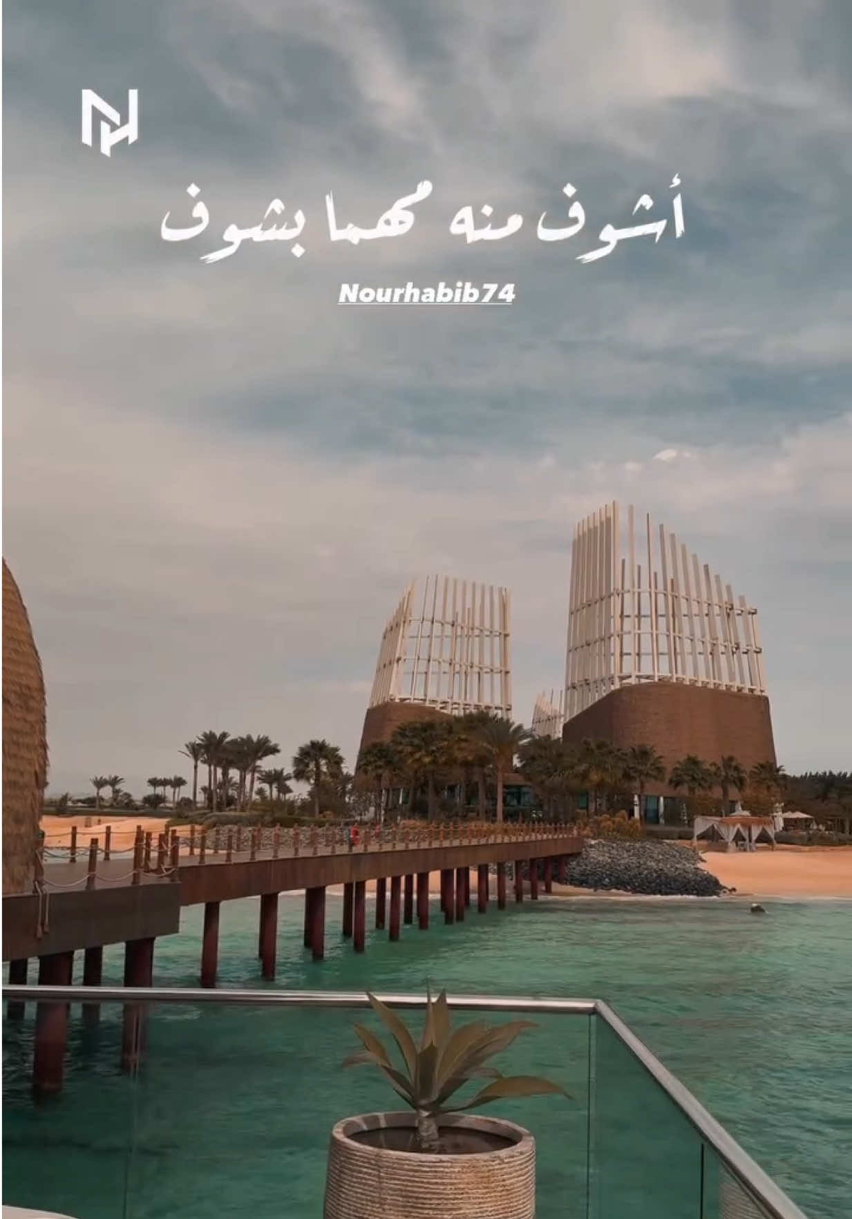 @NourHabib74