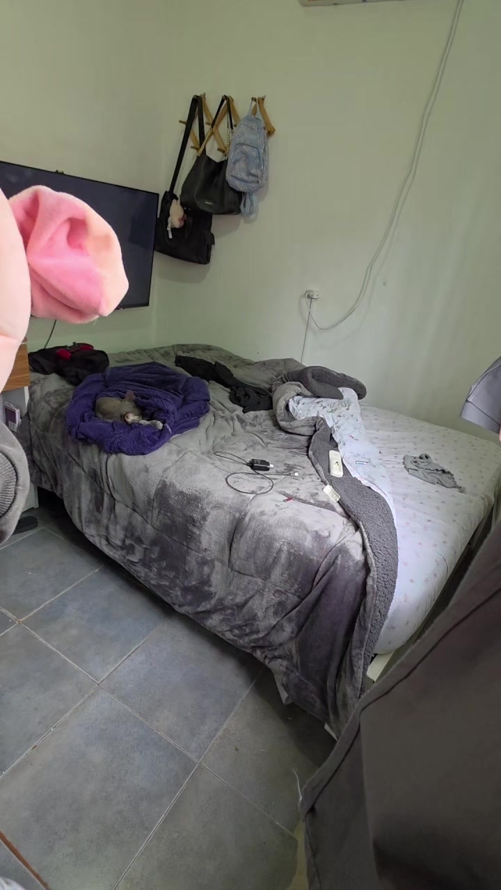 @ArianaC419