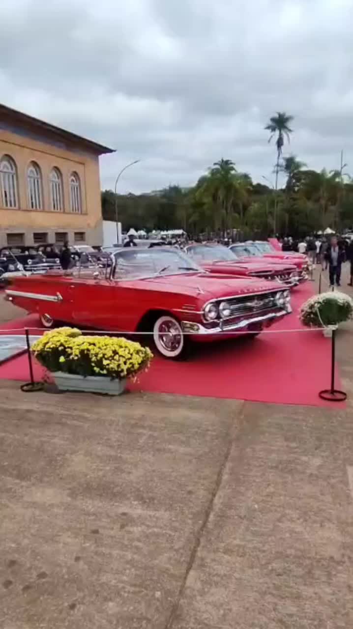 @Cars in Brasil
