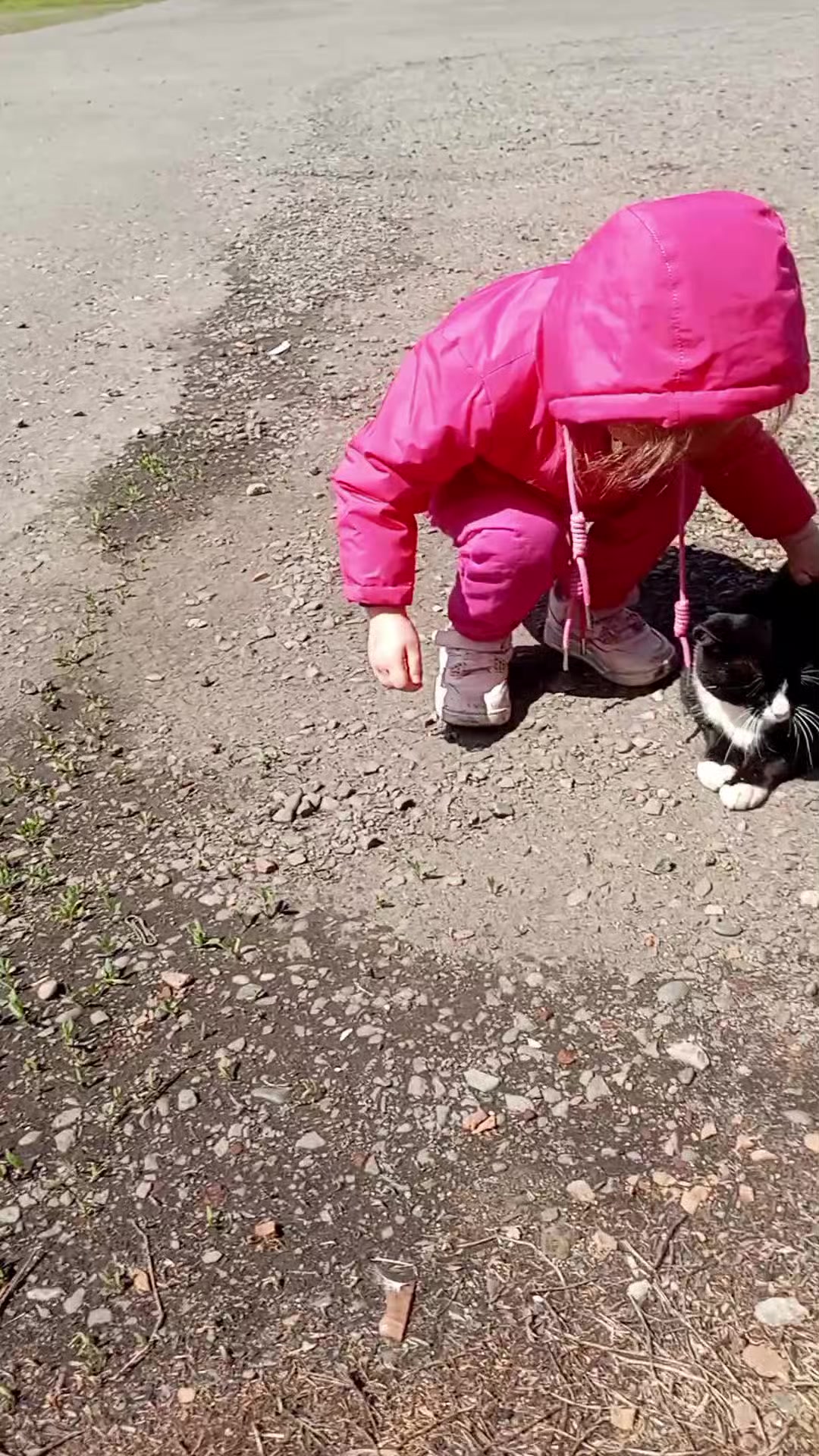 @Matroskin_0406_