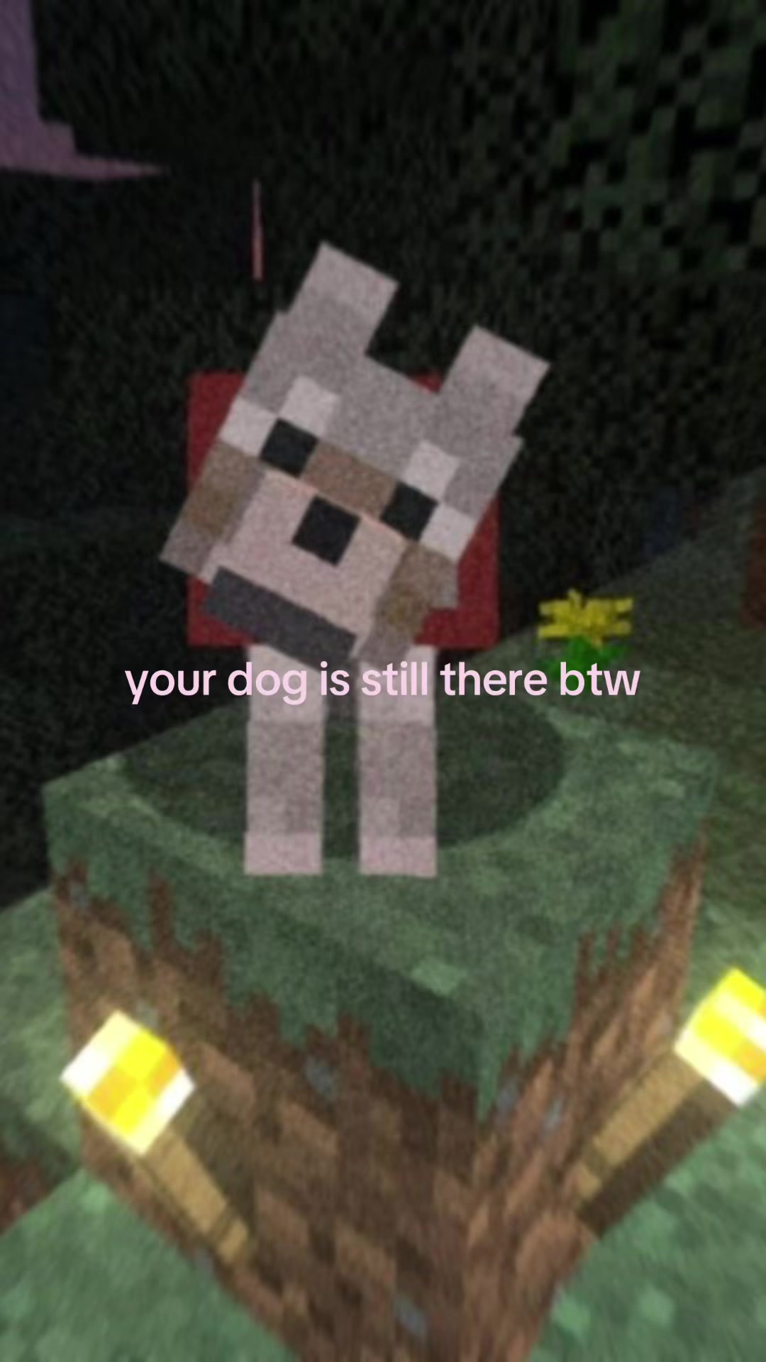 @saga