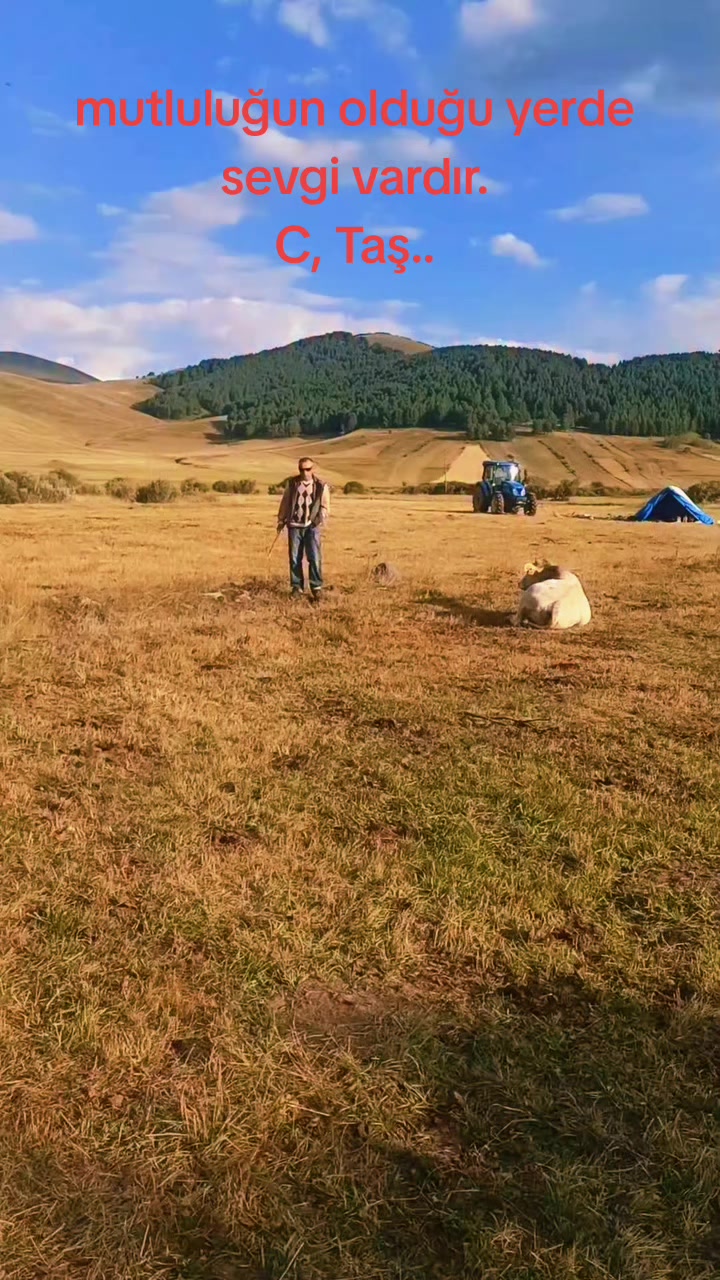 @Cengiz Taş