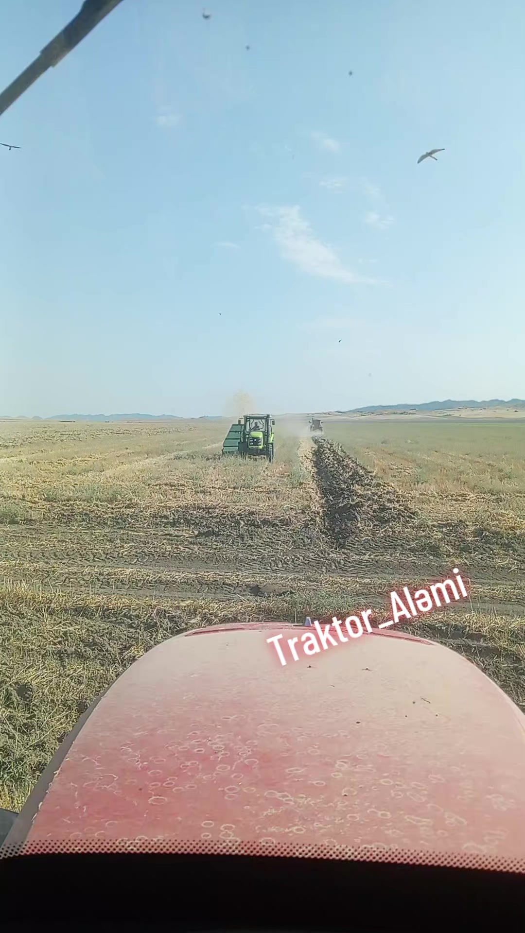 @Traktor_Aləmi