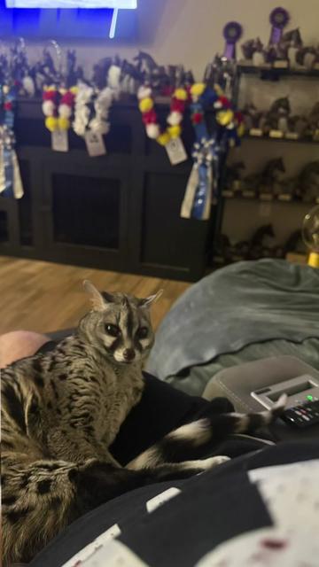 @Dr.Nicole-VetMed