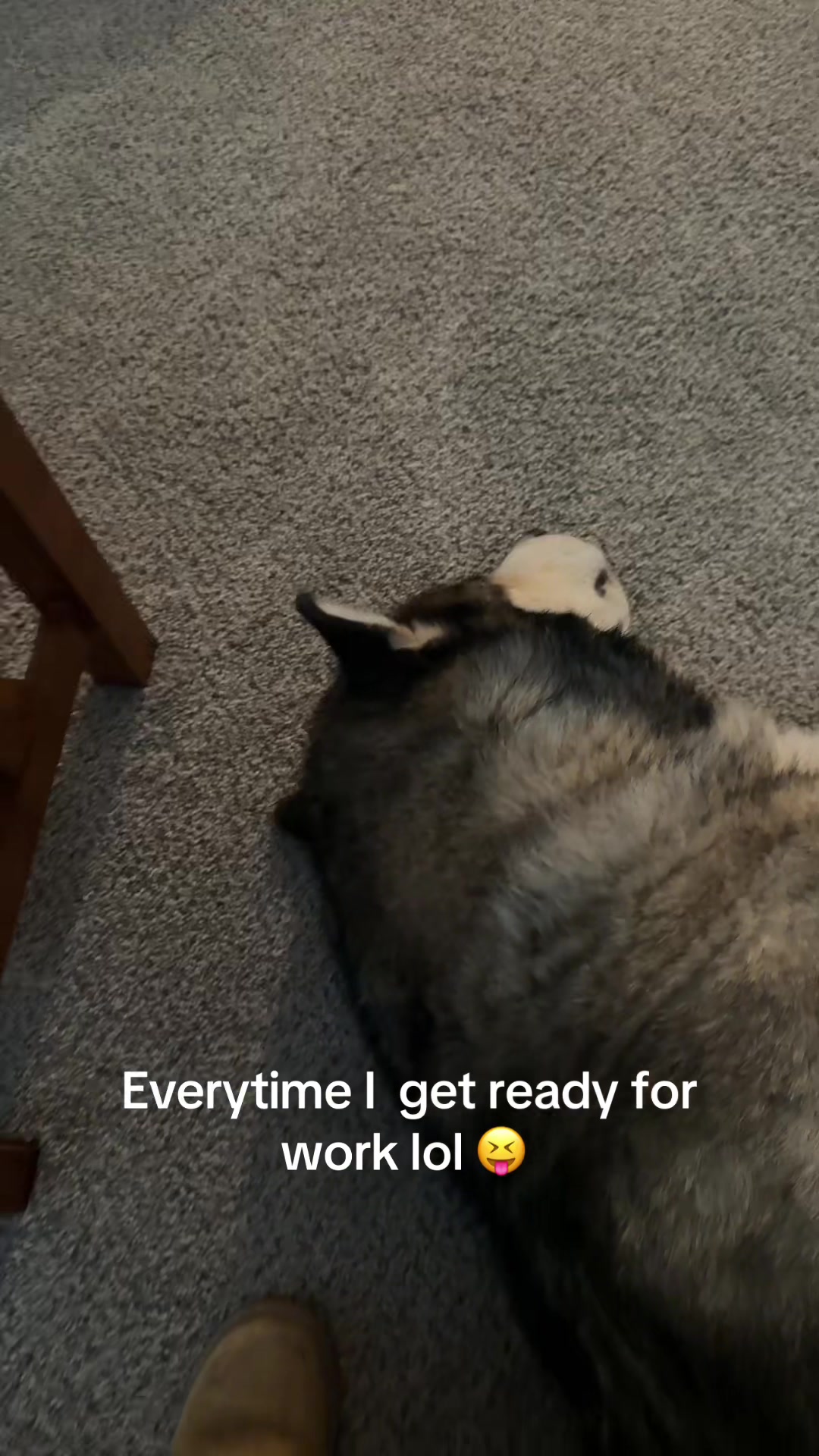 @kodi_1517