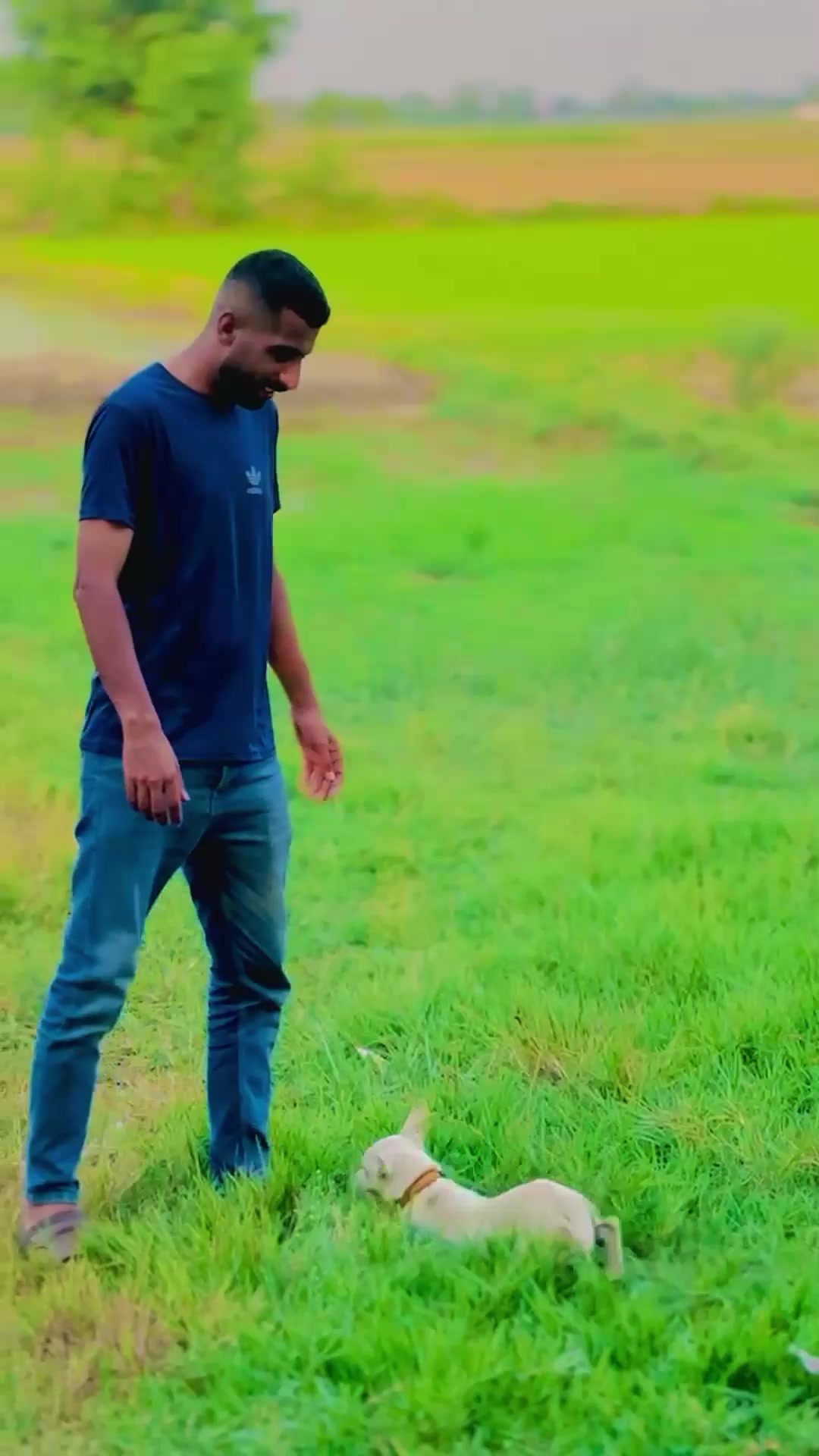 @رانا اکمل راجپوت ظفروال