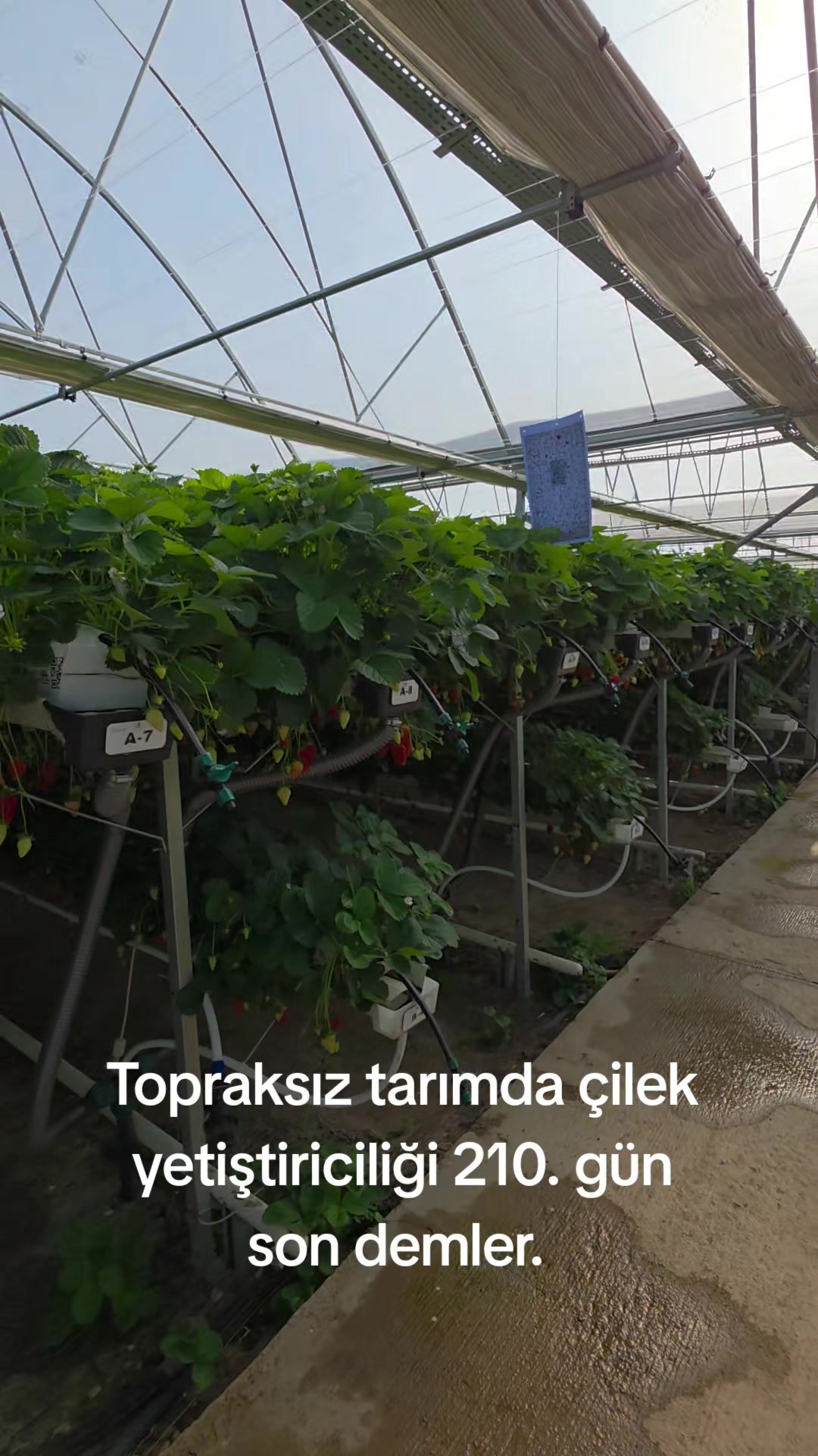 @Kartes Tarım Danışmanlık
