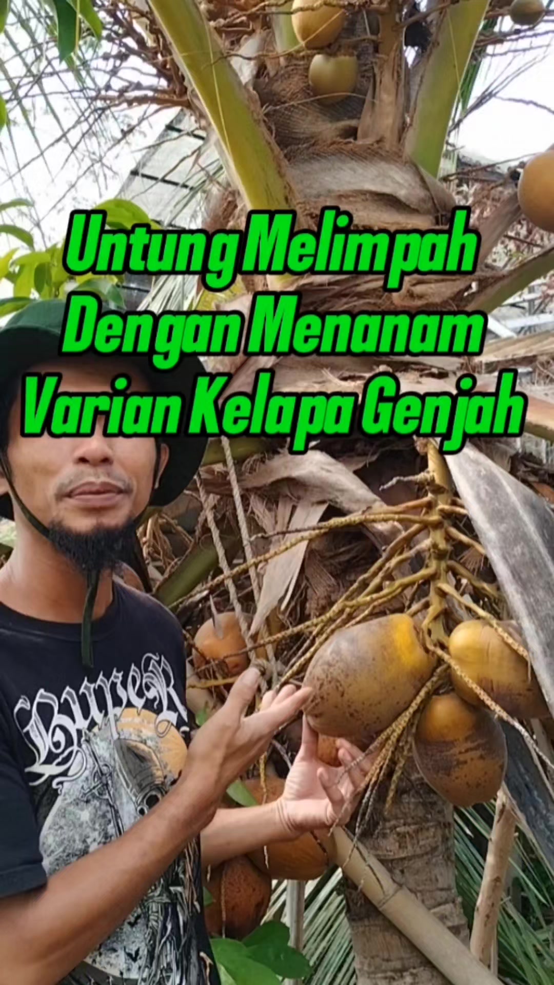 @Bukit Farming