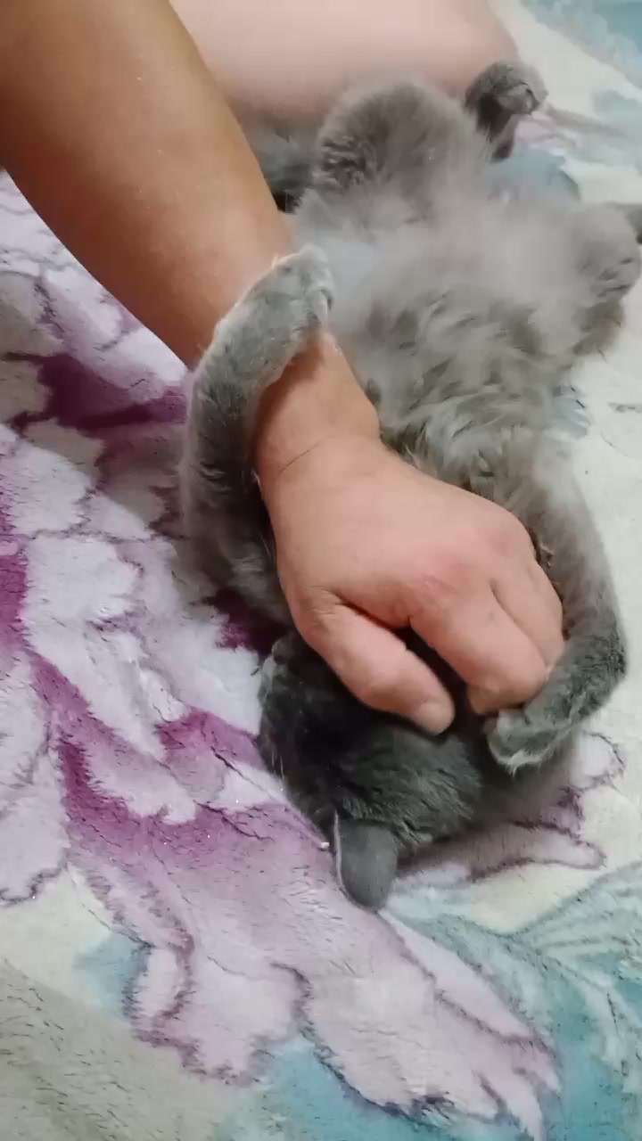 @Настя....