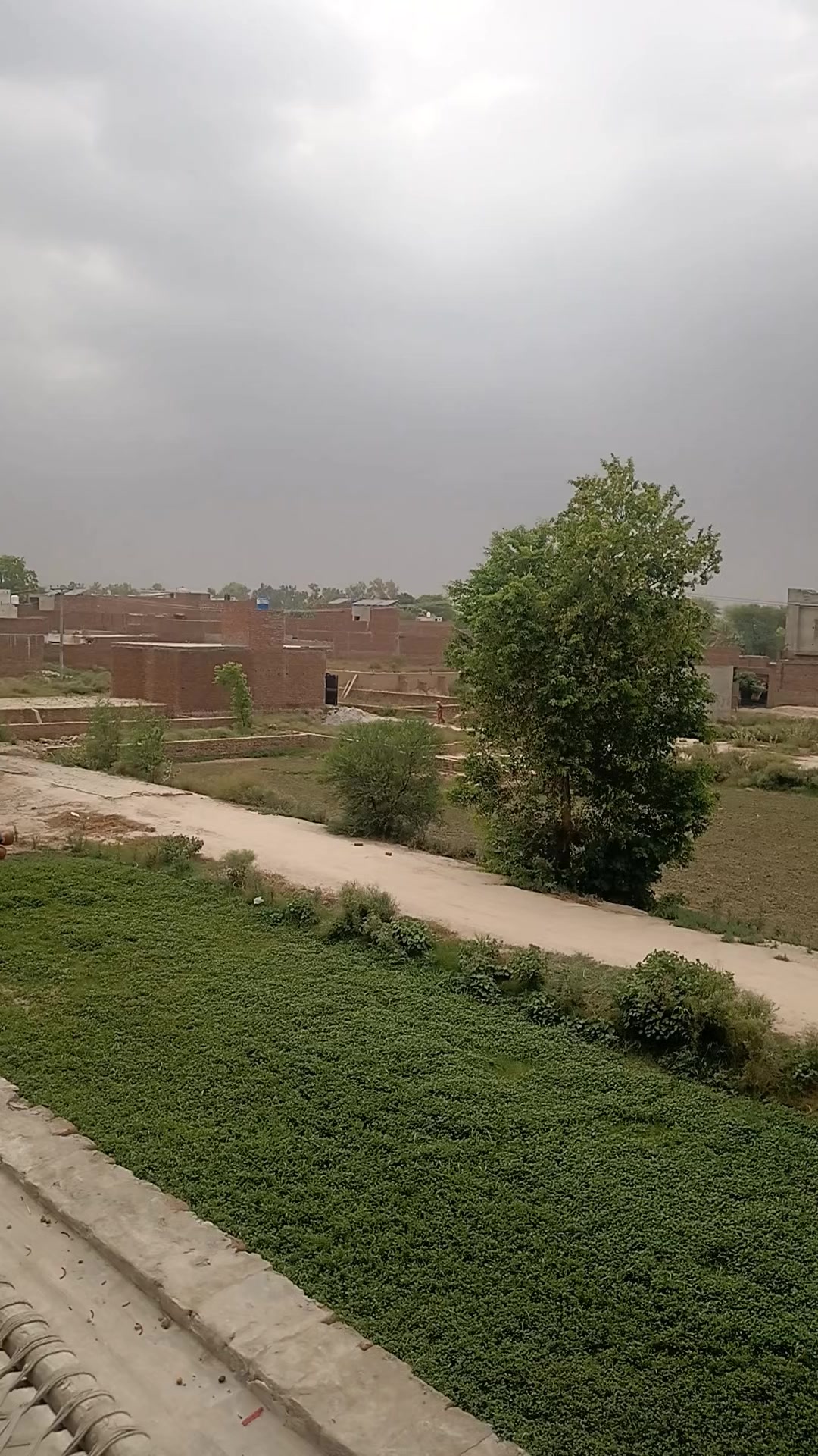 @🇵🇰 میاں صاحب 🇵🇰 🚭 𝑵𝒐 🚭