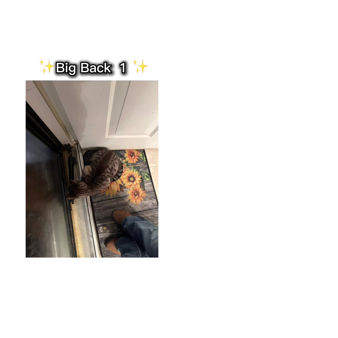 @Olivia