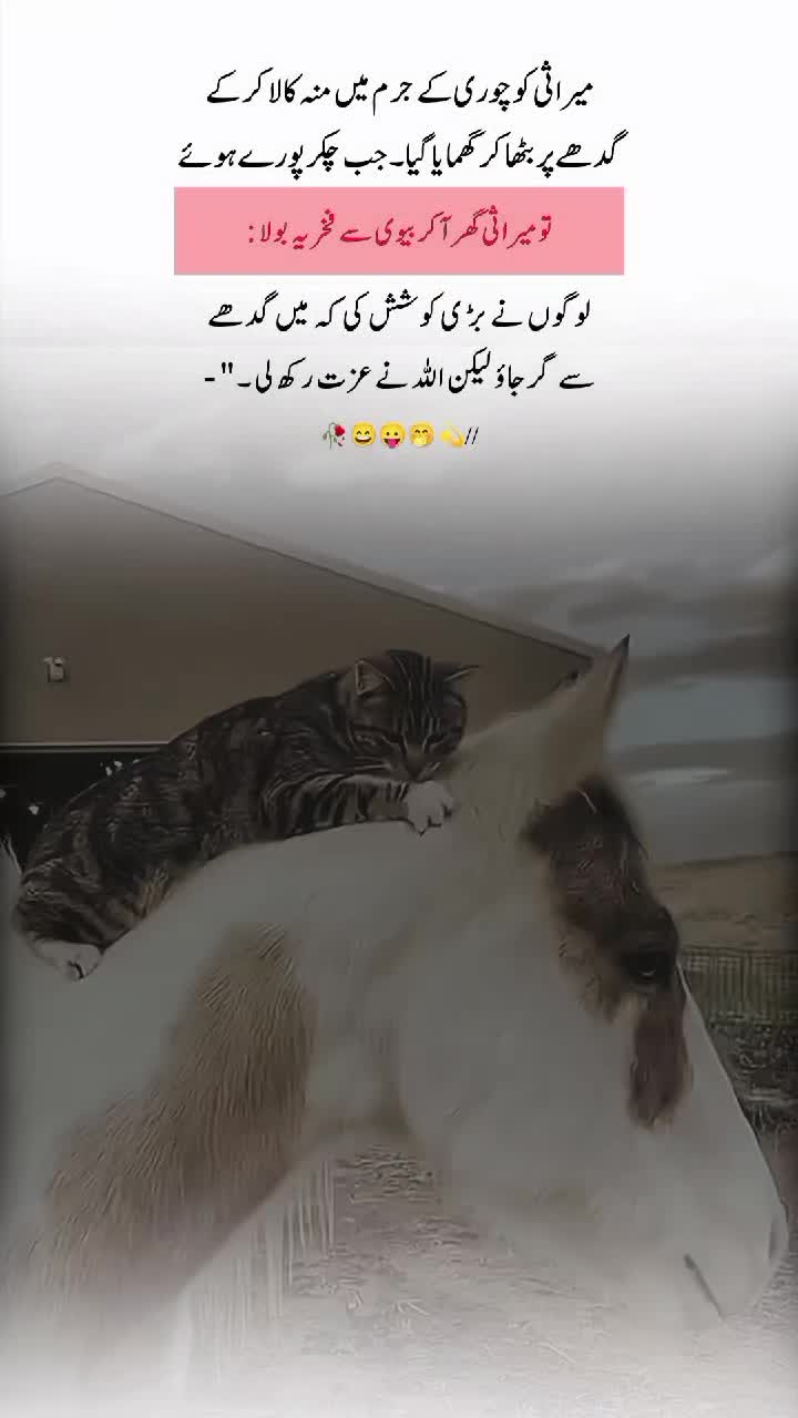 @【𝐌𝐮𝐠𝐡𝐚𝐥 𝐖𝐫𝐢𝐭𝐞𝐬】