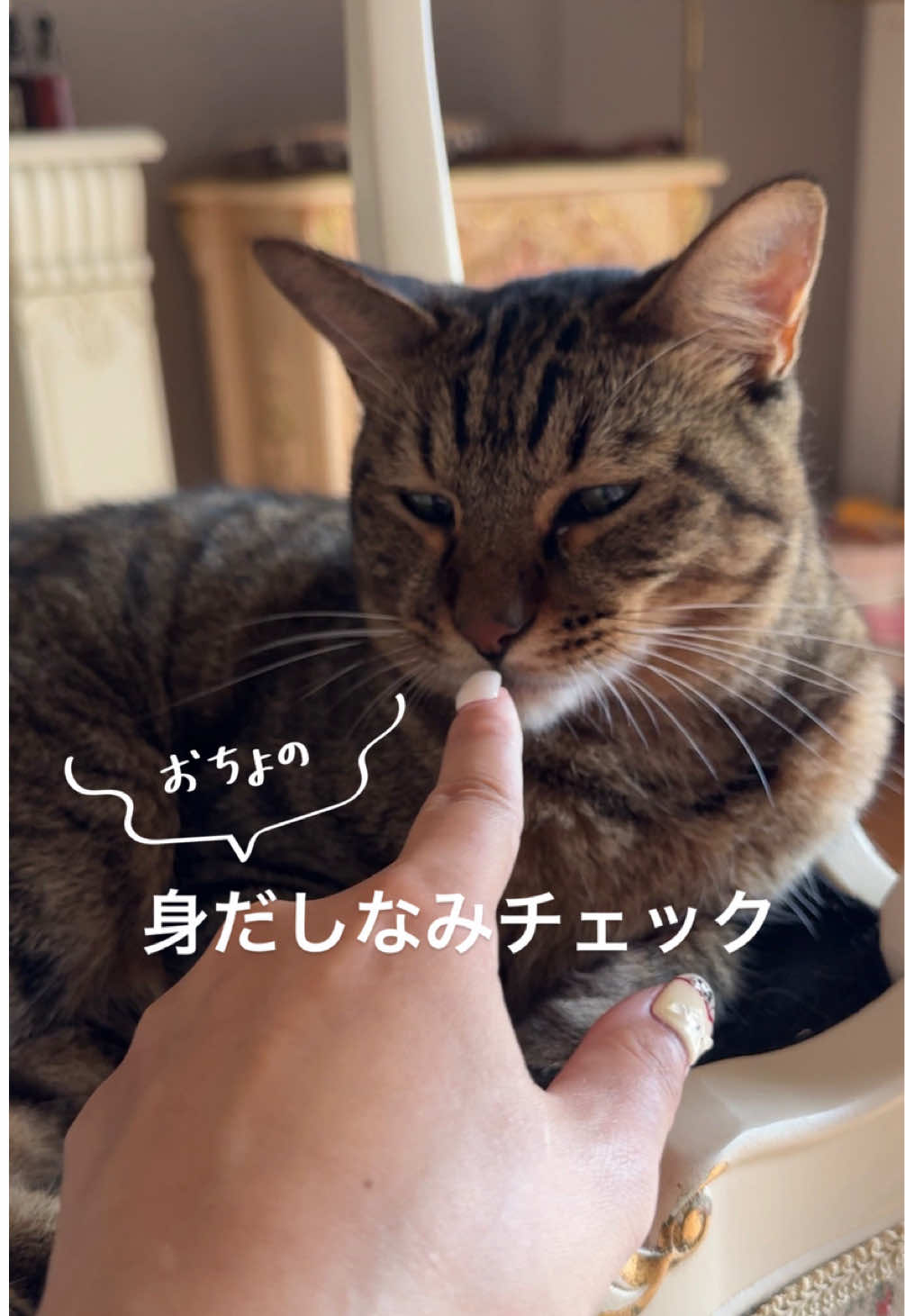 @さっことおちょ