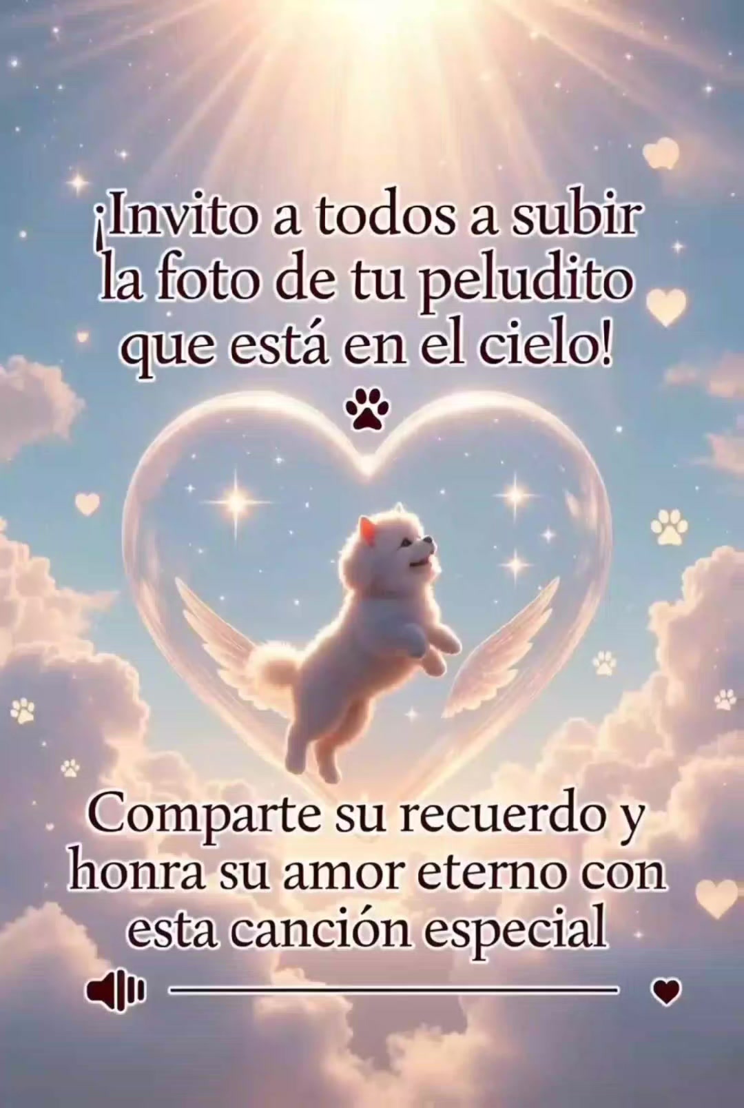 @Styben Arias🎵