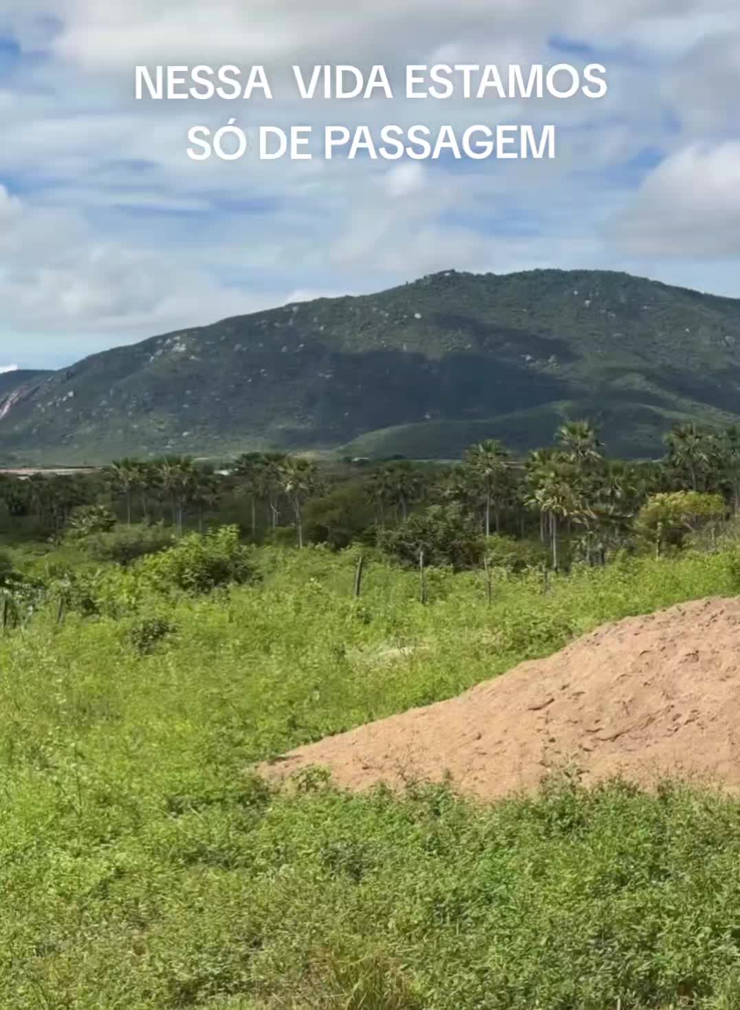 @Forrozimofc