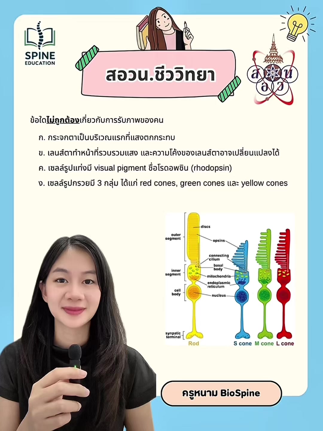 @Biospine by ครูหนาม