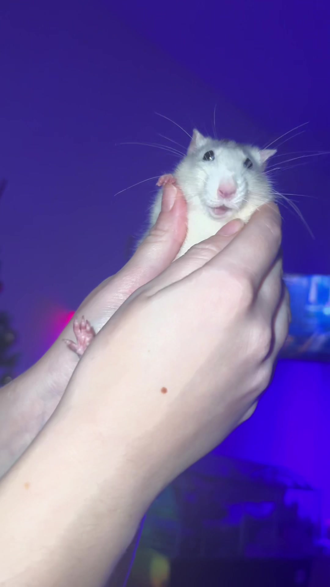 @❤😄
