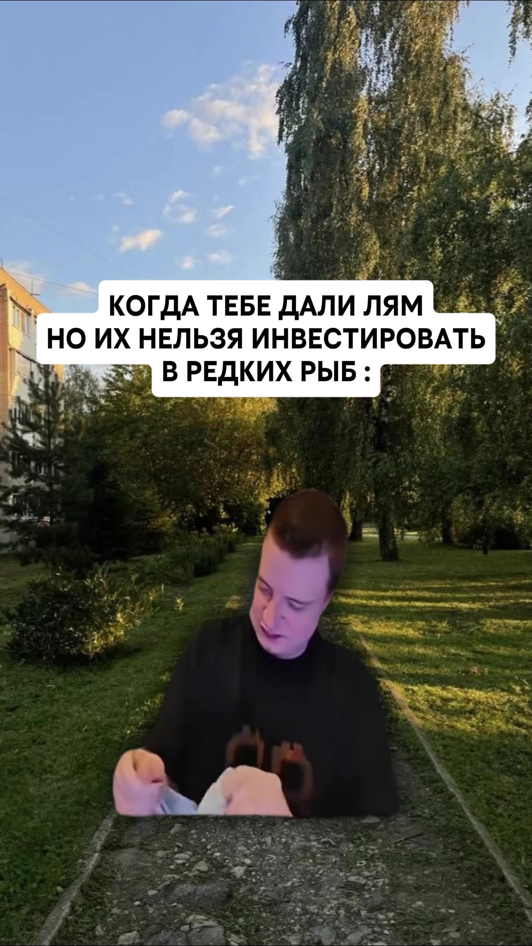 @MellFan