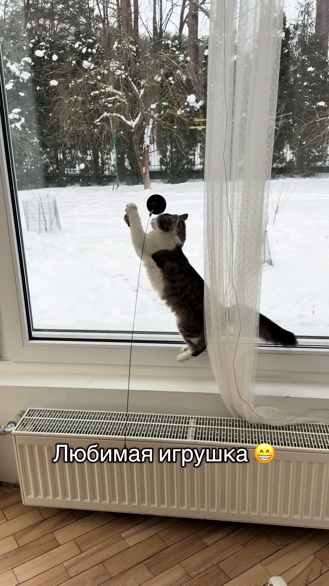 @Nastya 👱🏽♀️