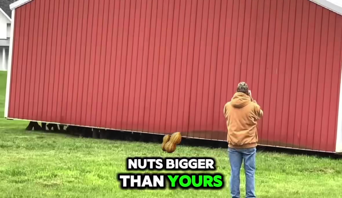 @gooner69
