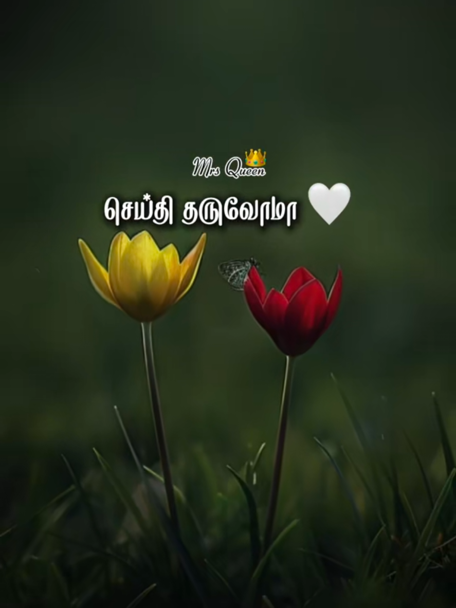 @𝐌𝐫𝐬 𝐐𝐮𝐞𝐞𝐧 👑