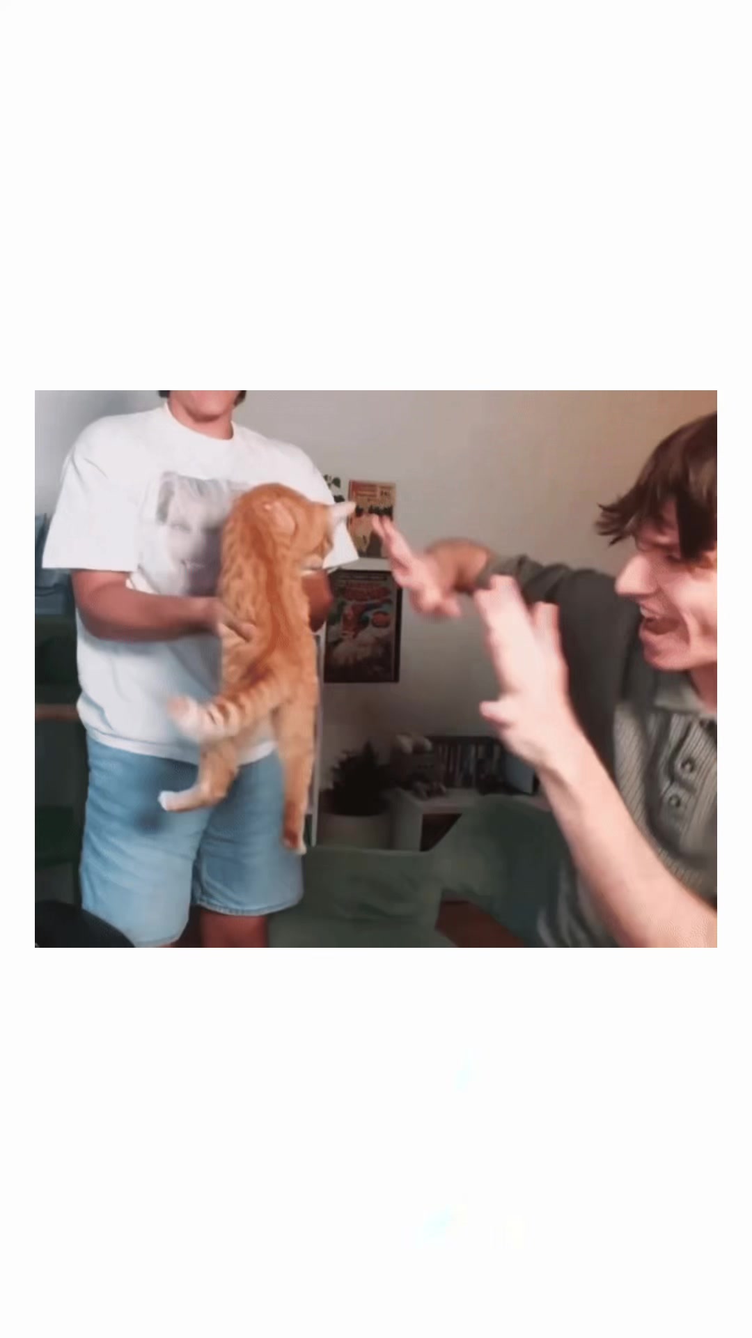 @frufxlms