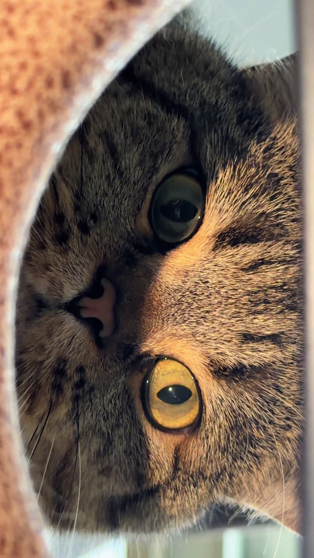 @Джоні 😻