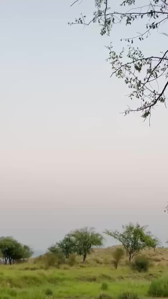 @🔗مونی خٹک🫀