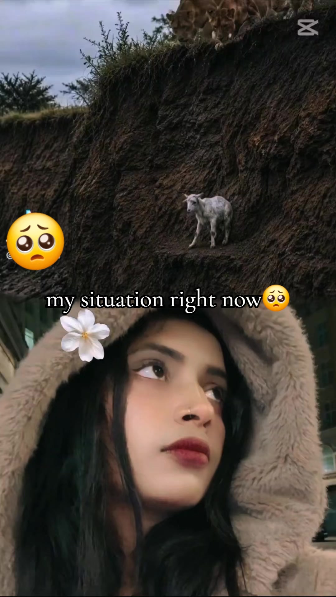 @🇳🇵❤️&zwj;🩹🇬🇧&Atilde;&aelig;řţ&icirc; &szlig;&aelig;ĥ
